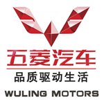 Auto-sales-statistics-China-Wuling-logo