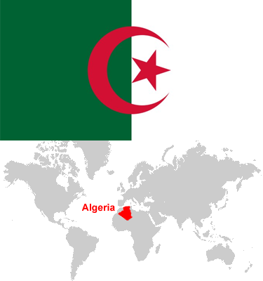 Algeria-car-sales-statistics