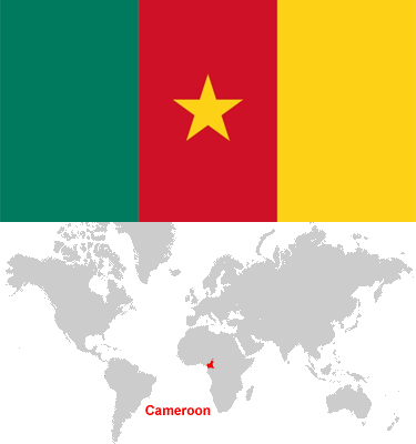 Cameroon-car-sales-statistics