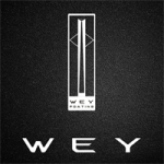 Auto-sales-statistics-China-Wey-logo