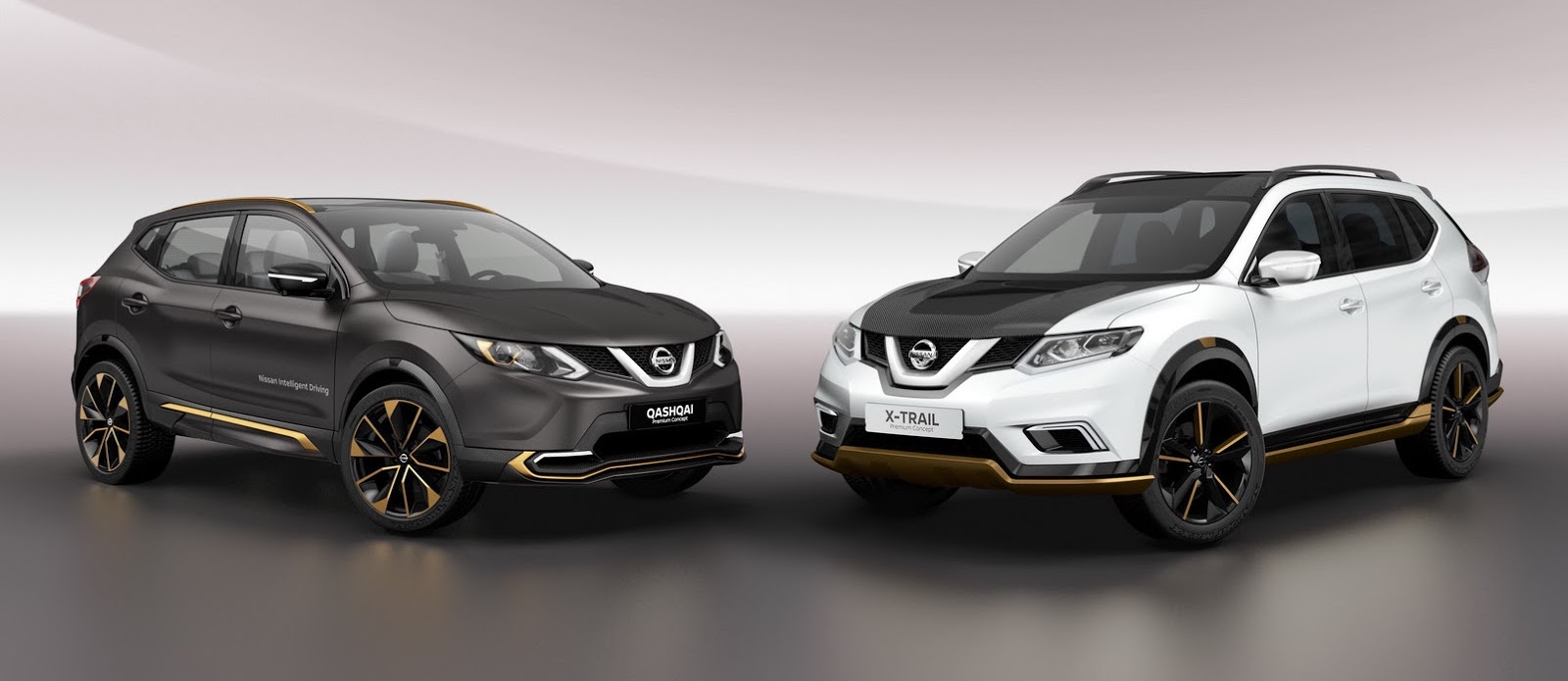 Nissan Premium Concepts