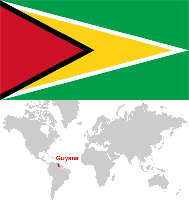 Guyana-car-sales-statistics