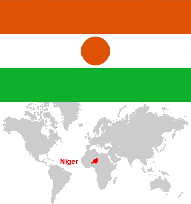 Niger-car-sales-statistics