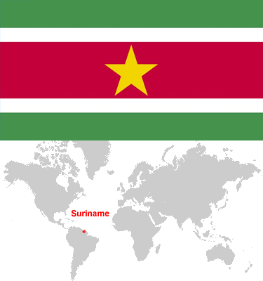 Suriname-car-sales-statistics