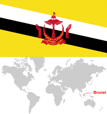 Brunei-car-sales-statistics